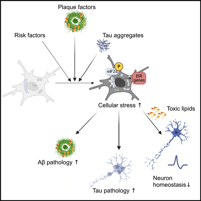 Cell diagram