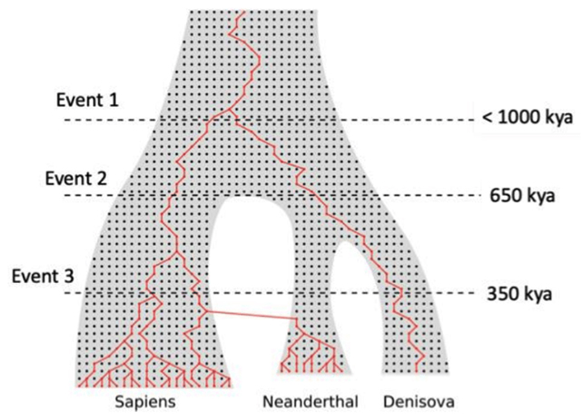 Genetic analysis