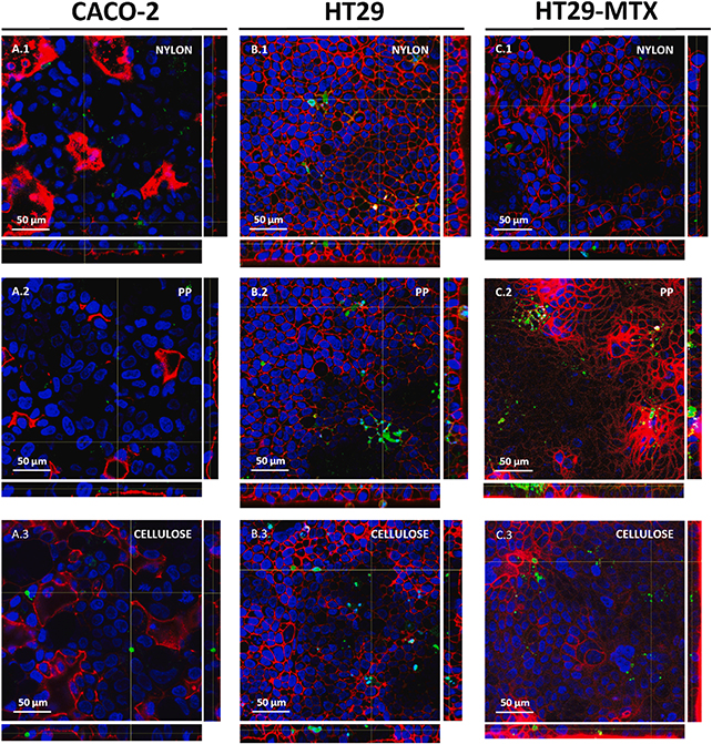 Gut cell analysis