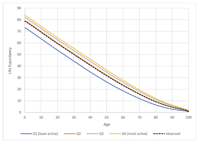 A Unmarried One-Hour Day-to-day Stroll May just Upload Six Hours to Your Lifespan