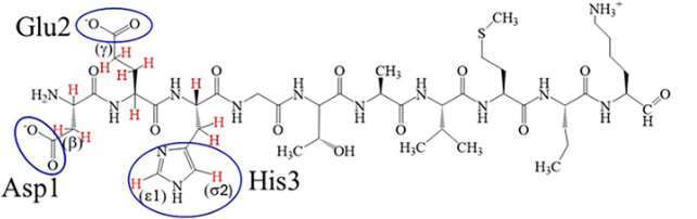 molecule of mdp