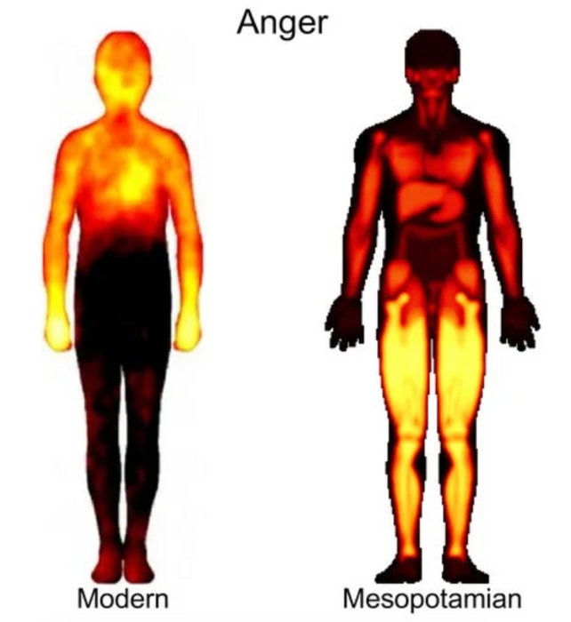 Two human figures with heat maps