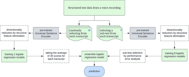 Gaphic of the automated pipeline for Alzheimer's disease prediction from a neuropsychological test interview.