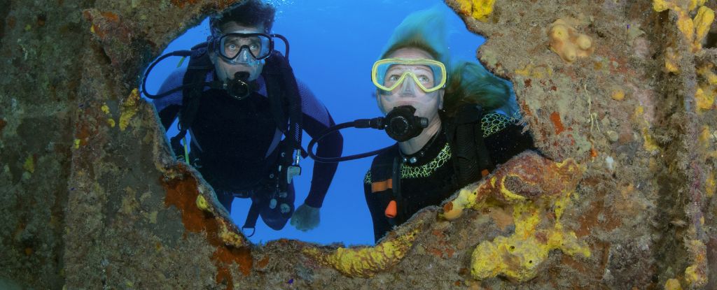 Los naufragios que acechan en el océano son una bomba de tiempo. He aquí por qué. : Alerta científica