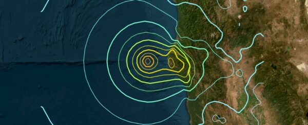 7.0 Earthquake Strikes California Coast, Triggers Tsunami Warnings 