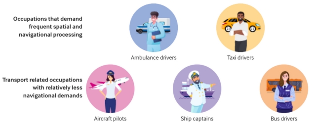 graphic of transport occupations