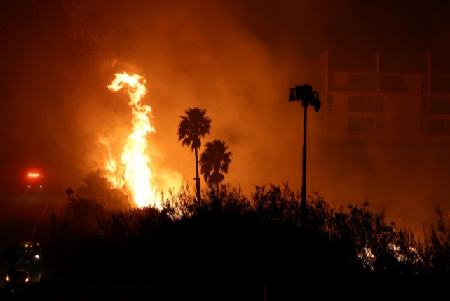 A fire with palm trees in background