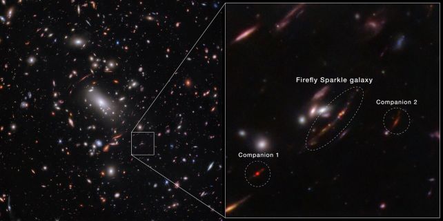 Firefly Sparkle: a Growing Galaxy in The Early Universe Just Like a Baby Milky Way