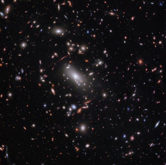 Firefly Sparkle: a Growing Galaxy in The Early Universe Just Like a Baby Milky Way