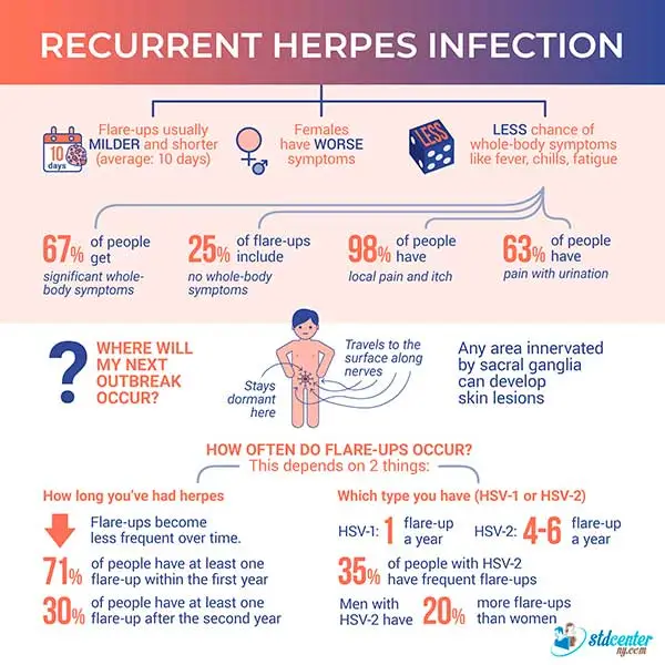 Genital Herpes Infographic