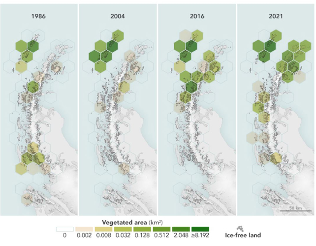 Striking Satellite Images Reveal Antarctica Is 10 Times Greener Than 35 ...