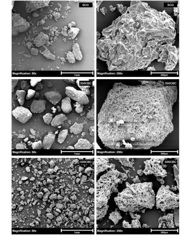 micrographs of coffee grind