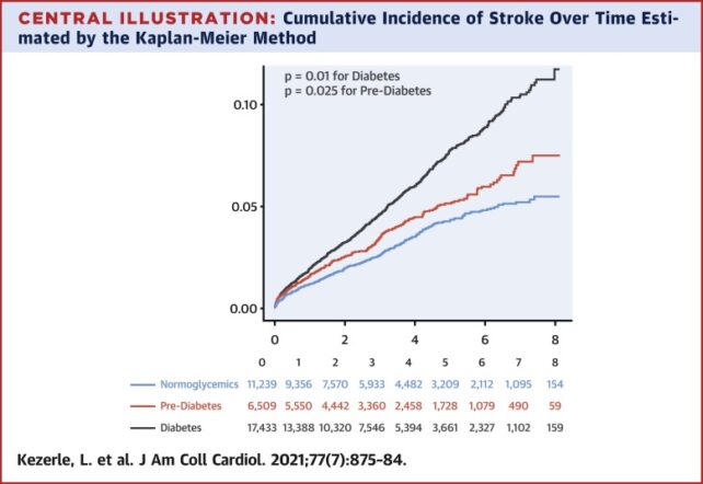 Stroke Risk Diabetes