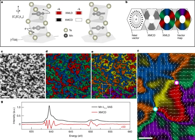 Discovery of a Third Type of Magnetism Could Revolutionize Electronics