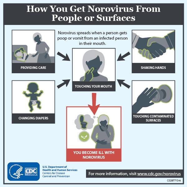 Norovirus Spread