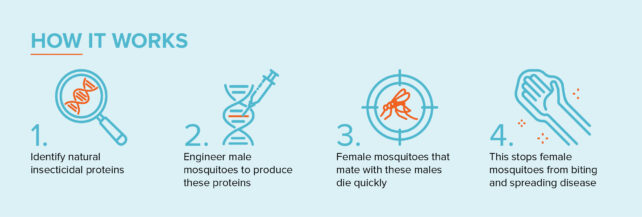 A graphic of the process