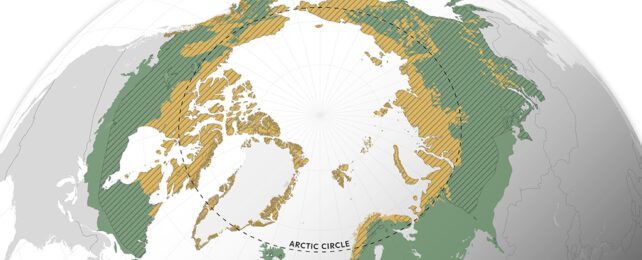 Arctic Circle