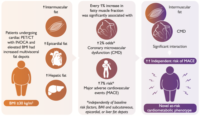 CVD Fat Distribution