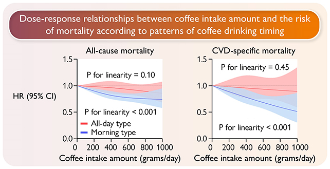 Keeping Your Coffee Drinking Coffee to The Morning May Better For Your Heart