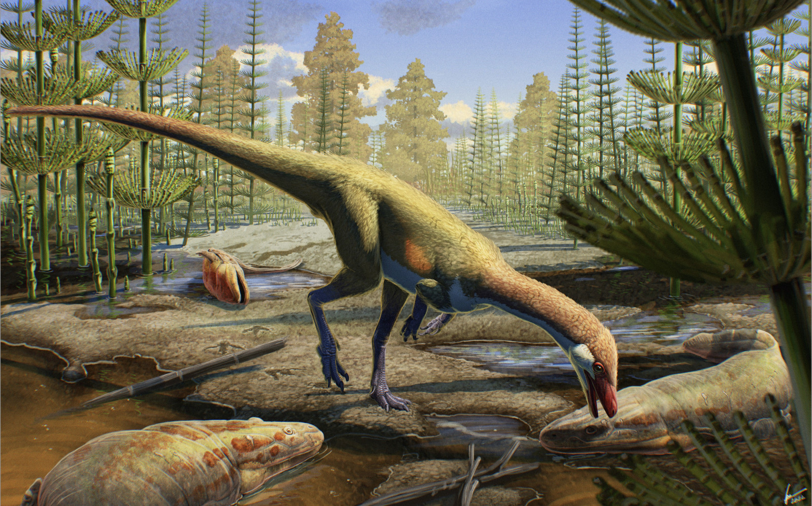 illustration of the dinosaur, with small forearms, standing on back legs in a prehistoric swamp-like scene.