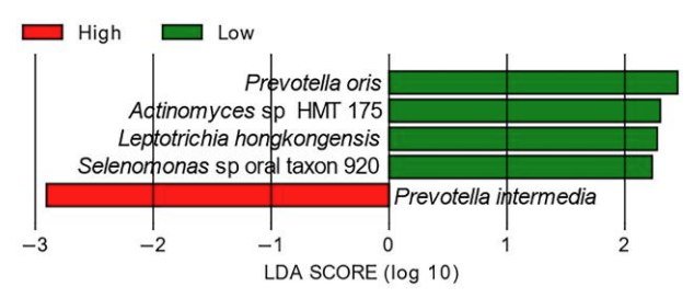 Genetic Risk Factor Microbes