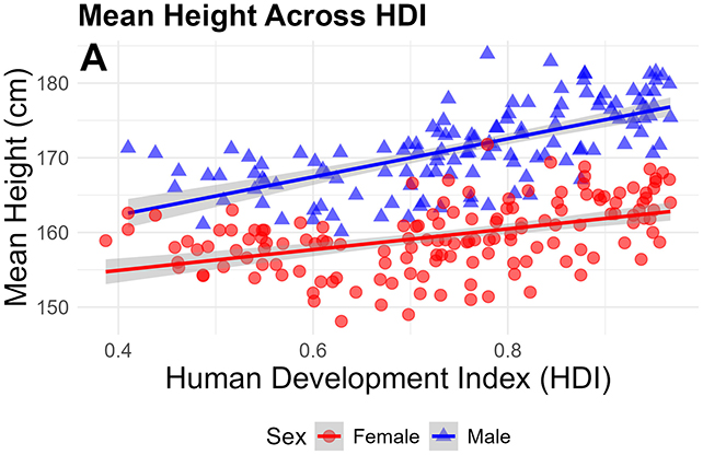 Height chart