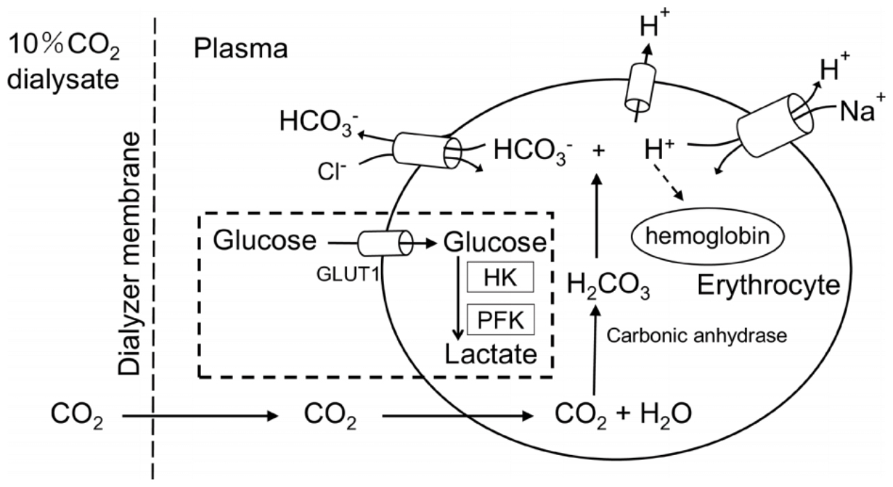 Hemodialysis chart