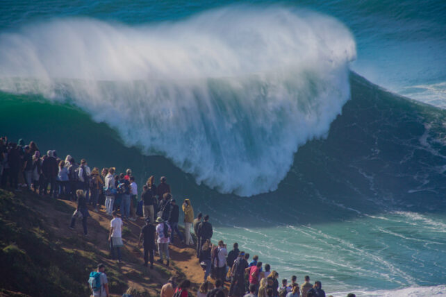 A Gigantic Wave in The Pacific Ocean Was The Most Extreme 'Rogue Wave' on Record