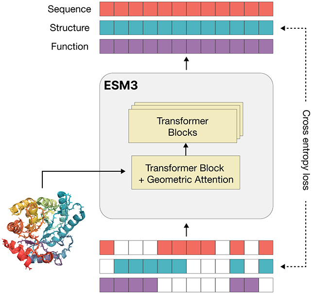 Protein AI model