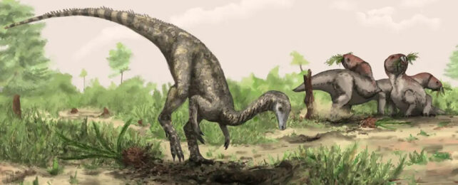 An artist's watercolour illustration of Nyasasaurus, a grey raptor-like dinosaur, in a savannah like environment. two other dinosaurs stand in the right hand background.