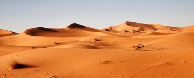 sahara desert