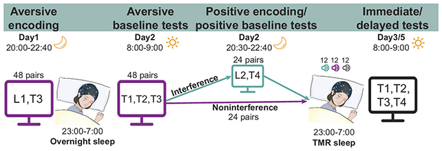 Sleep test