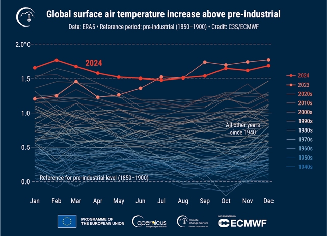 It's Official: 2024 Declared Hottest Year on Record as World Exceeds 1.5°C