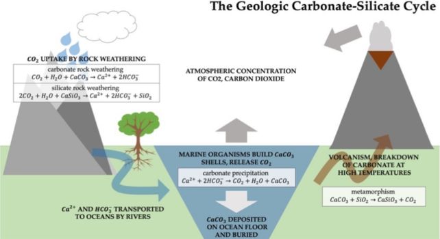 Diagram showing the geological carbonate silicate cycle