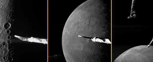 bepicolumbo images of mercury