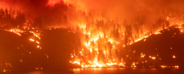 British columbia fires