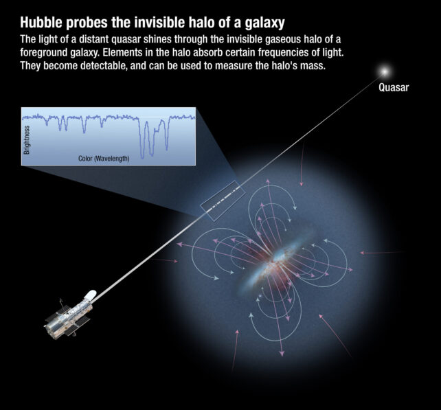 The Carbon in Our Bodies Has Been on an Intergalactic Journey