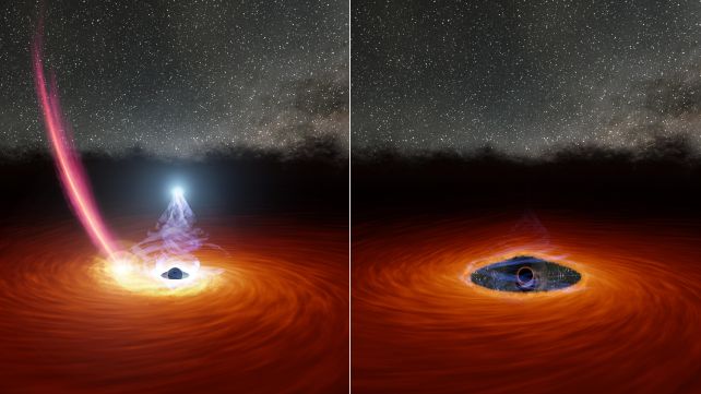 Strange Light From a Black Hole Could Be a Dead Star Teetering on The Brink of Oblivion