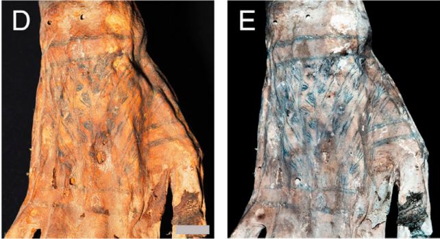 Breathtaking Tattoos Revealed on The Skin of 1,200-Year-Old Peruvian Mummies