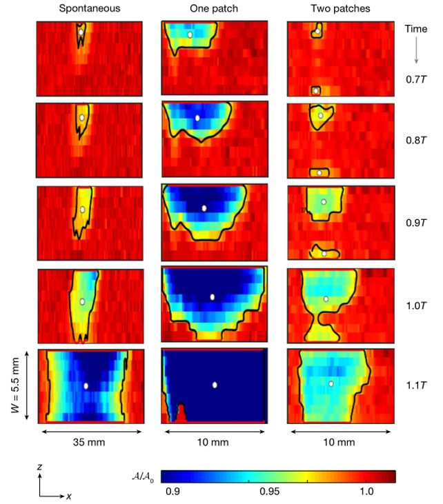 New Research Reveals The Hidden Mechanics of How Earthquakes Ignite