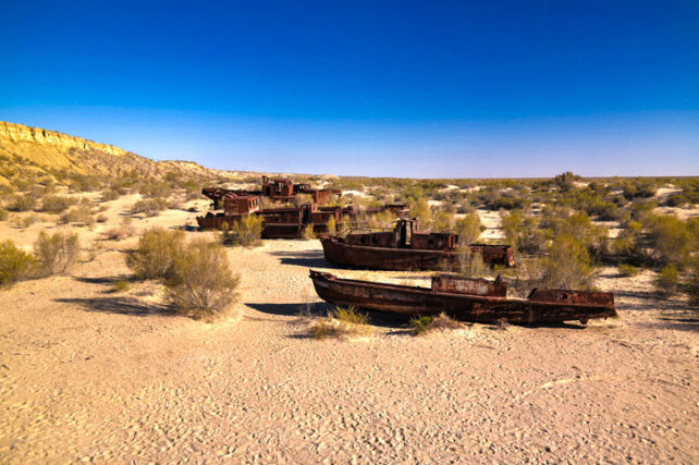 Rusting boats sitting in what looks like a desert