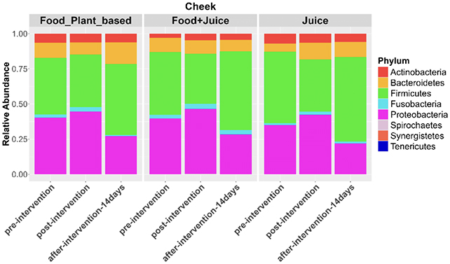 Bacteria chart