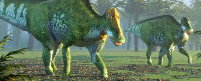 'Beyond Doubt': Proteins in Fossil From Actual Dinosaur, Claim Scientists