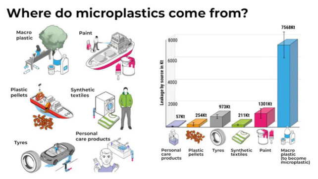 Microplastics Are Shockingly More Prevalent in Our Brains Than Kidneys