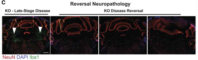 Disease Reversal