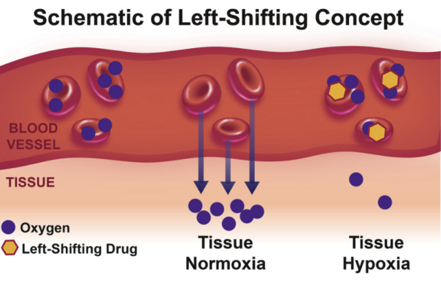 This New Drug Mimics The Health Effects of Living at High Altitude : ScienceAlert