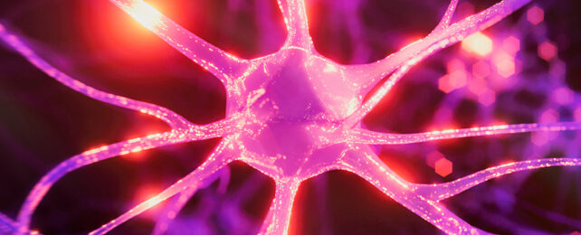 Firing neurons