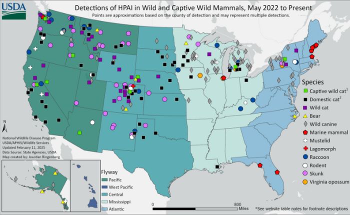 Delayed CDC report confirms that bird flu is not spreading to people for people