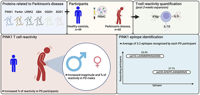 Parkinsons graphic