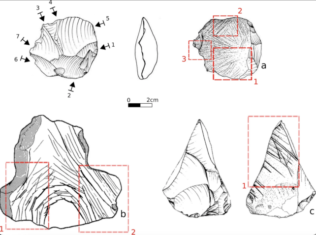 Stone Comparison